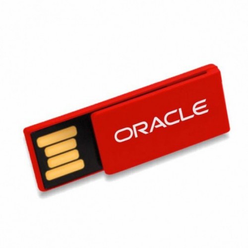 pen drive Modelo Clip 16  GB Personalizado , Diversas cores - pen-cl2