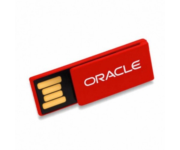 pen drive Modelo Clip 16  GB Personalizado , Diversas cores - pen-cl2